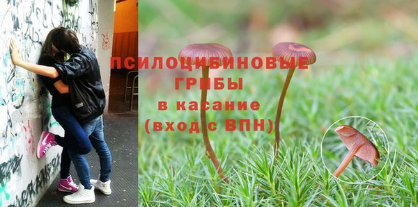 таблы Приозерск