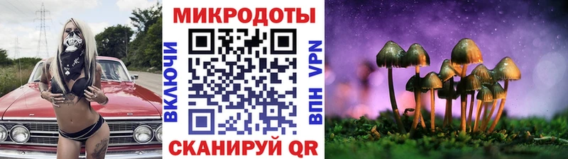 Галлюциногенные грибы Psilocybe  Любим 
